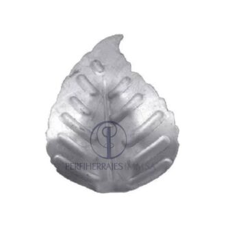 Hoja de Lamina Santa
